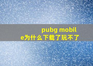 pubg mobile为什么下载了玩不了